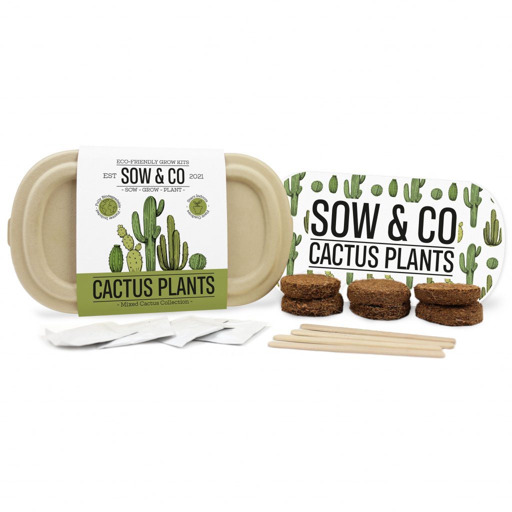 Gift Republic Sow & Co - Kweekset Cactussen