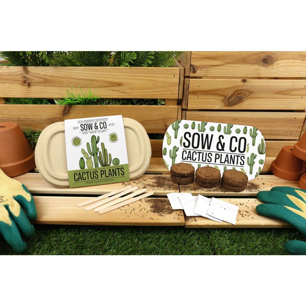 Gift Republic Sow & Co - Kweekset Cactussen