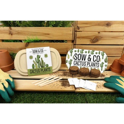 Gift Republic Sow & Co - Kweekset Cactussen