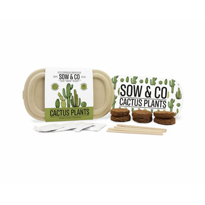 Gift Republic Sow & Co - Kweekset Cactussen