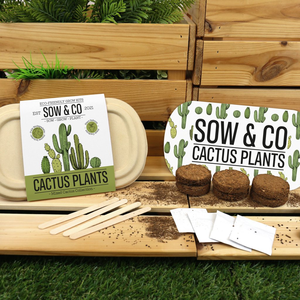 Gift Republic Sow & Co - Kweekset Cactussen