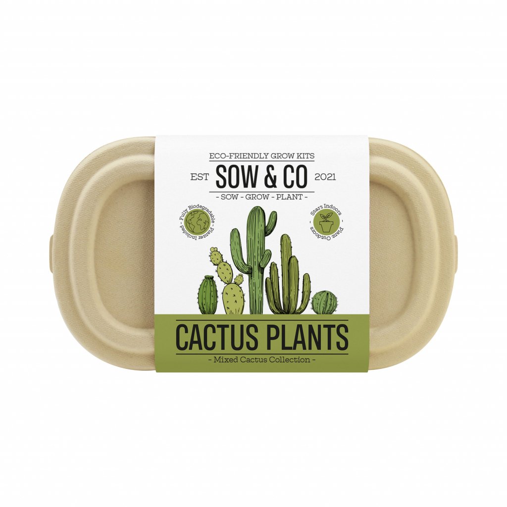 Gift Republic Sow & Co - Kweekset Cactussen