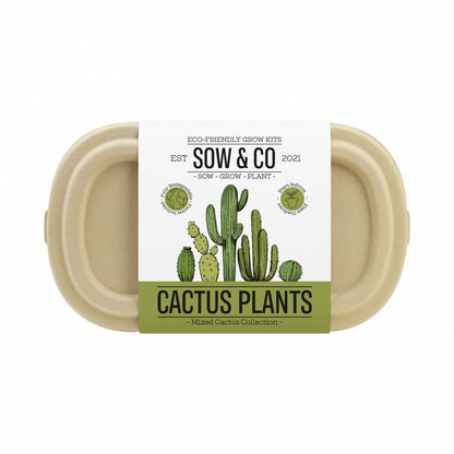Gift Republic Sow & Co - Kweekset Cactussen